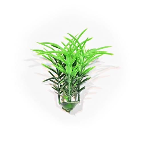 AMAROBA Plastic 80 Pcs Artificial Grass Plant For School Project Work, Green Grass Can Be Used In School Projects/Science Models/Summer Craft Projects By Kids Or Adults (Pack Of 80) - Image 5