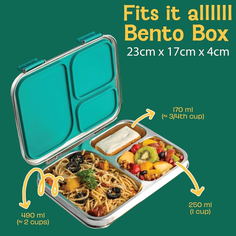 BASIL Bento Box – 900 ml 3-Compartment Stainless Steel Lunch Box for Kids | Leak-Proof Tiffin Box for School - Green Dino | Hocus - Docus - Image 5