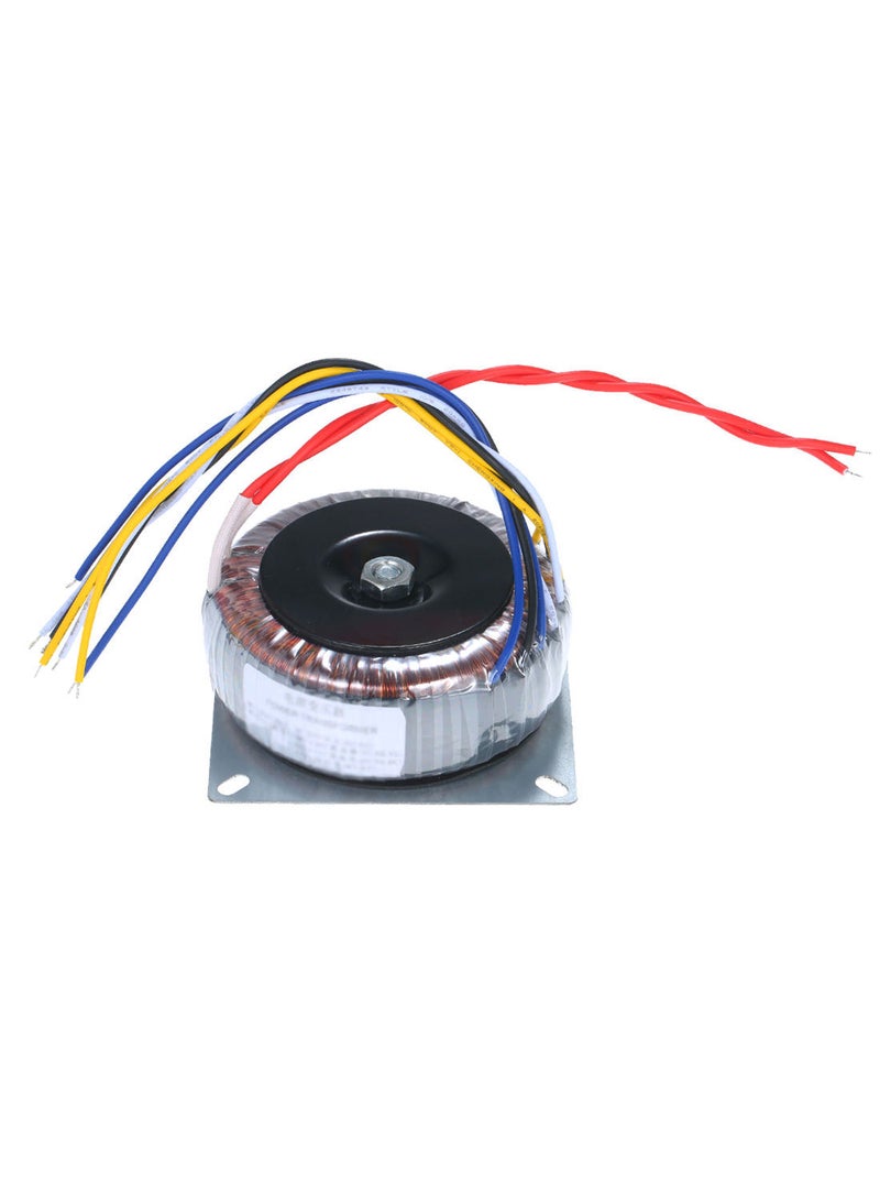 NIBEMINENT One-Phase Preamplifier Toroidal Transformer Multicolour 25.5 x 20centimeter