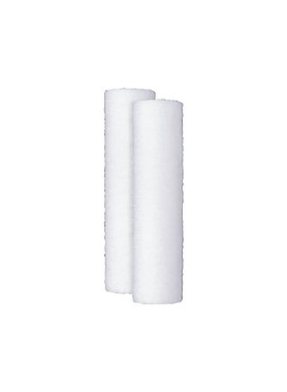 GE Appliances FXUSC Whole Home Universal System Basic Replacement Water Filter (2-pack), White - pzsku/ZB582B16B289469B93384Z/45/_/1731077811/1e43b6de-ad6b-4fed-b3a8-5d1aa90812d0