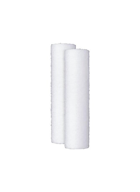 GE Appliances FXUSC Whole Home Universal System Basic Replacement Water Filter (2-pack), White