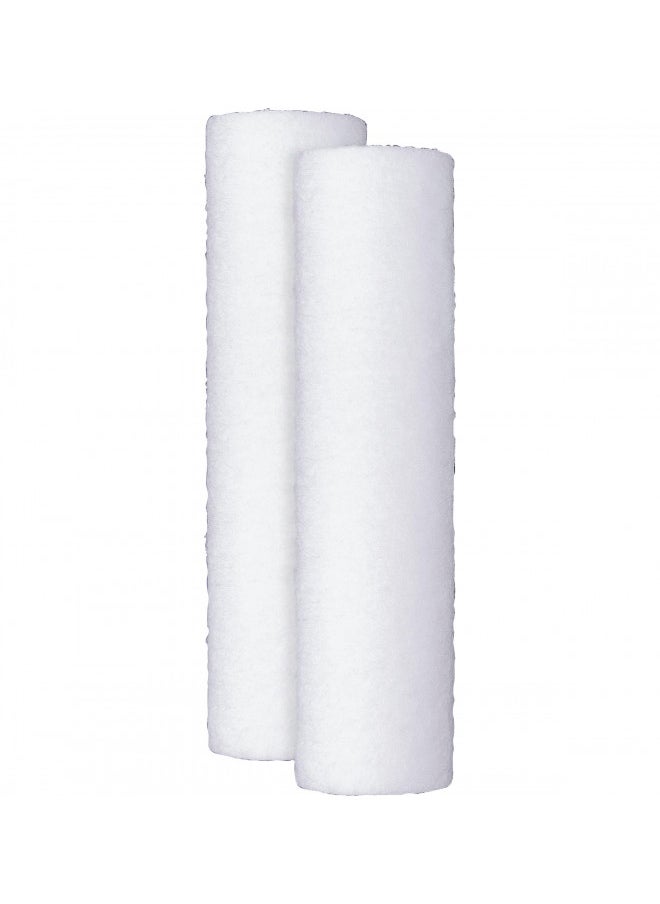 GE Appliances FXUSC Whole Home Universal System Basic Replacement Water Filter (2-pack), White