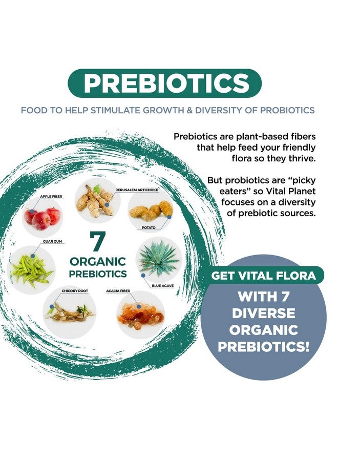 Vital Planet - Vital Flora Ultra Daily Probiotic 60 Billion CFU, 60 Diverse Strains, 7 Organic Prebiotics, Immune Support, Digestive Health Shelf Stable Probiotics for Women and Men 30 Capsules - Image 5