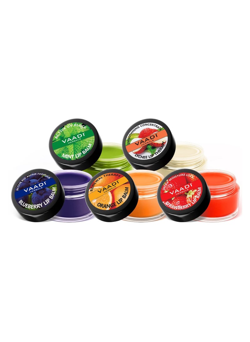 VAADI HERBALS - Assorted Lip Balm 10gm Pack Of 5 - Image 1