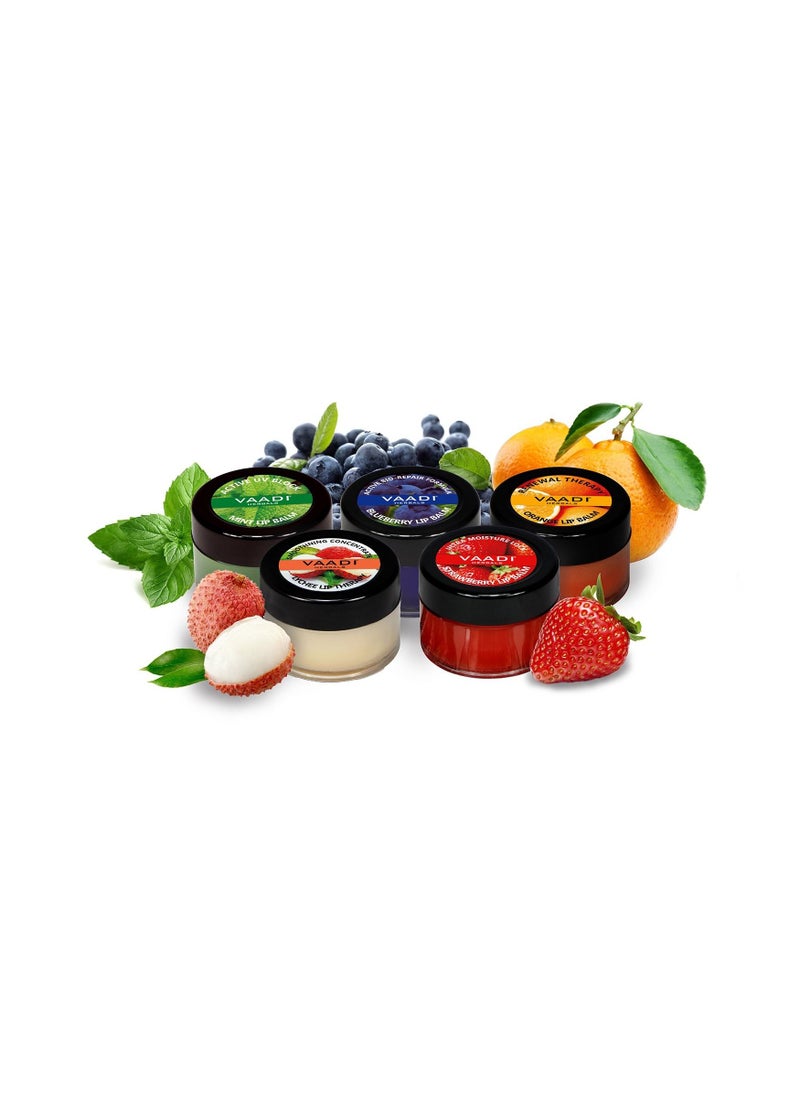 VAADI HERBALS - Assorted Lip Balm 10gm Pack Of 5 - Image 1