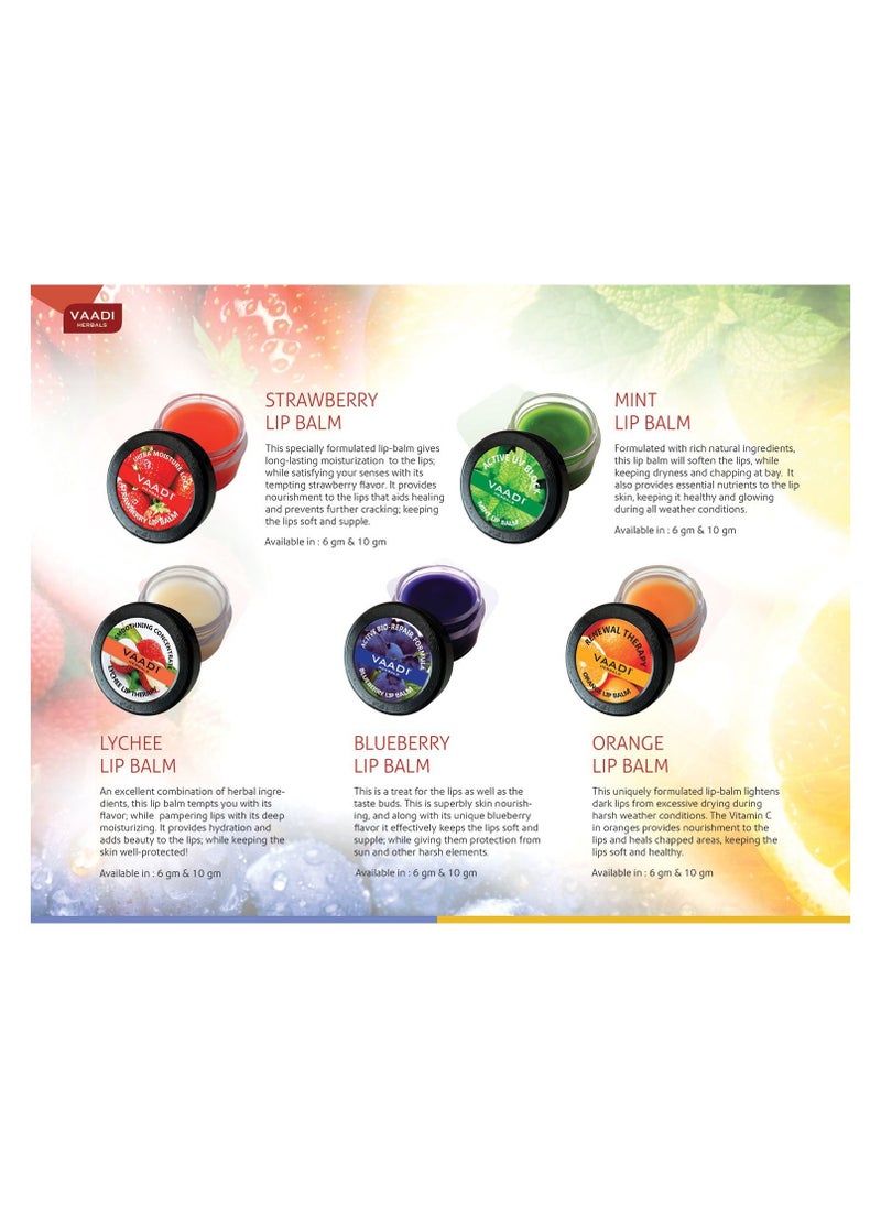 VAADI HERBALS - Assorted Lip Balm 10gm Pack Of 5 - Image 1