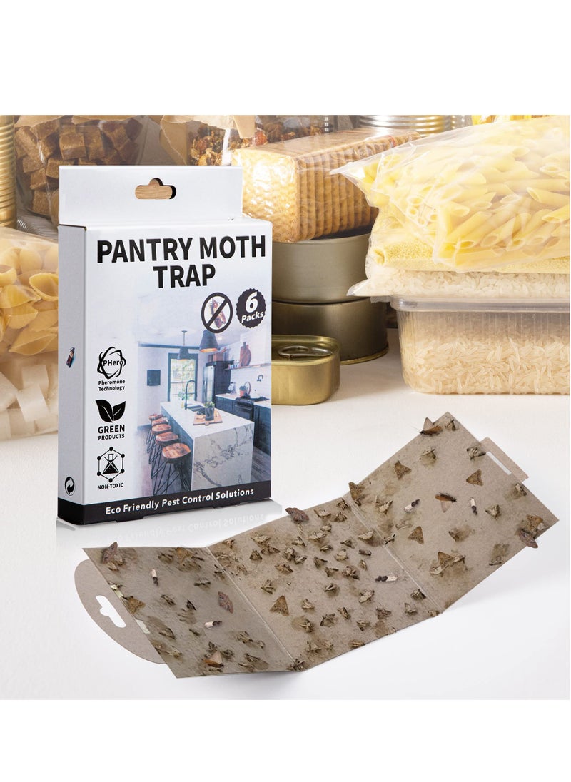 Generic Pantry Moth Traps with Pheromones, Safety Non-Toxic Moth Pheromone Indoor u0026 Get Rid of Moths in House, Efficient Sticky Glue Meal Moth Trap for Food Cupboard Kitchen Home (12 Pack)  - Image 3