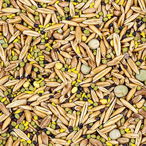 Evolved Harvest 5 Card Draw Food Plot Seed - All Season Long High-Protein & Minerals Forage for Deer, Green - Image 3