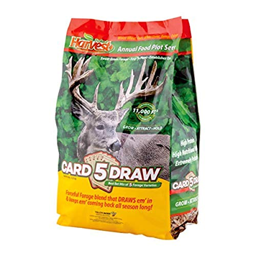 Evolved Harvest 5 Card Draw Food Plot Seed - All Season Long High-Protein & Minerals Forage for Deer, Green - Image 1