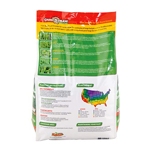 Evolved Harvest 5 Card Draw Food Plot Seed - All Season Long High-Protein & Minerals Forage for Deer, Green - Image 2
