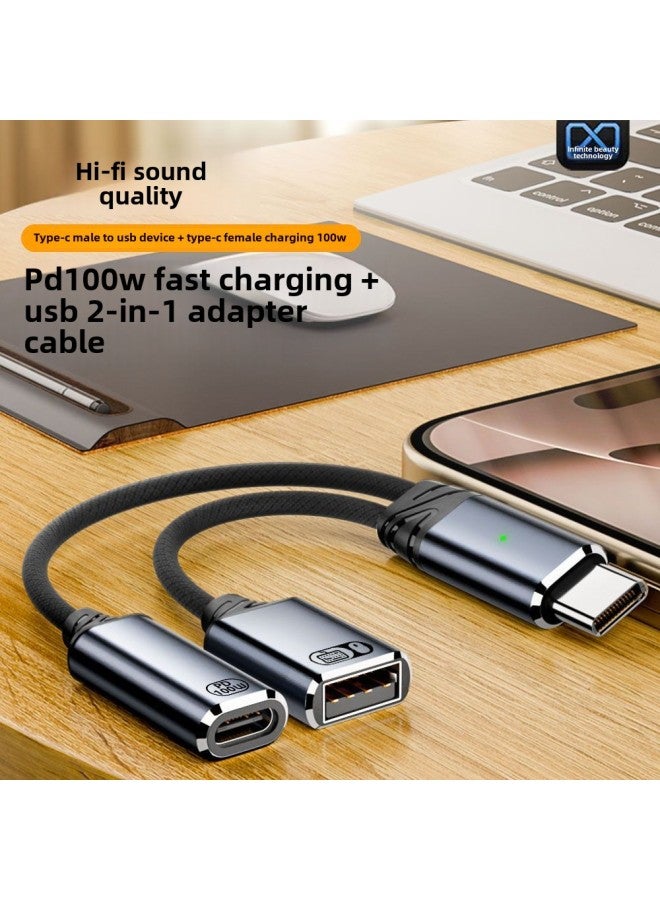Suitable For USB Headset Listening To Songs Charging Transfer Short Line Supports USB OTG Function Keyboard And Mouse Side Charging-Color:Audio 203ca-100t Gray - Image 2