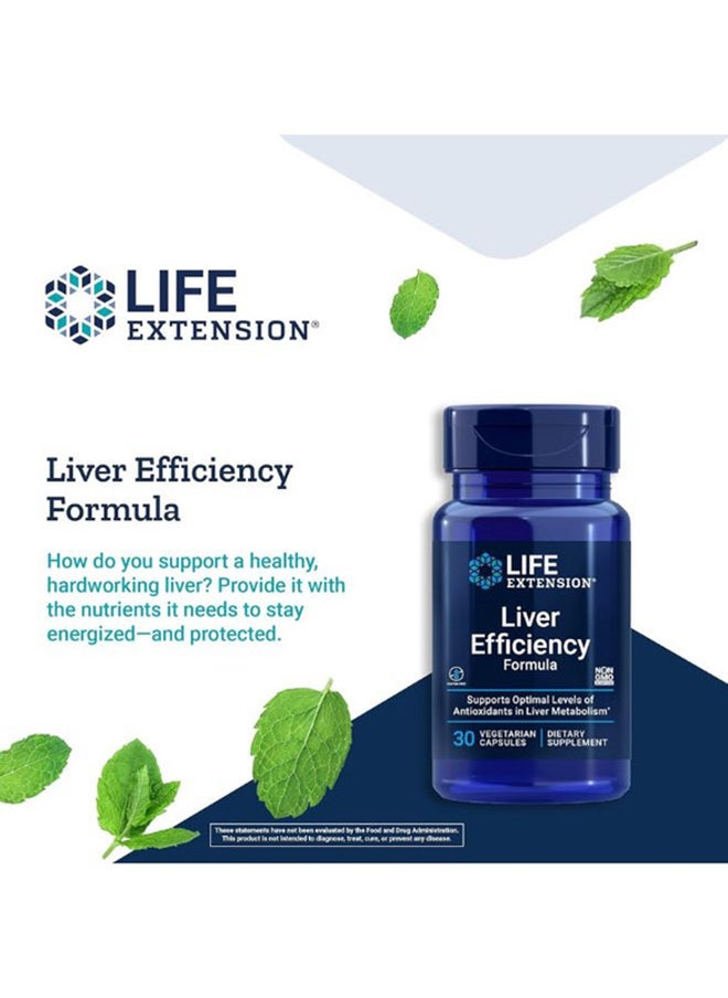 Life Extension - صيغة كفاءة الكبد - Image 1