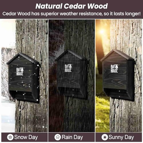 Sobalai Bat Houses for Outdoors for Tree, 2 Chamber Bat Boxes for Outside to Attract Bats to Land and Roost, Durable and Easy to Hang - Image 4