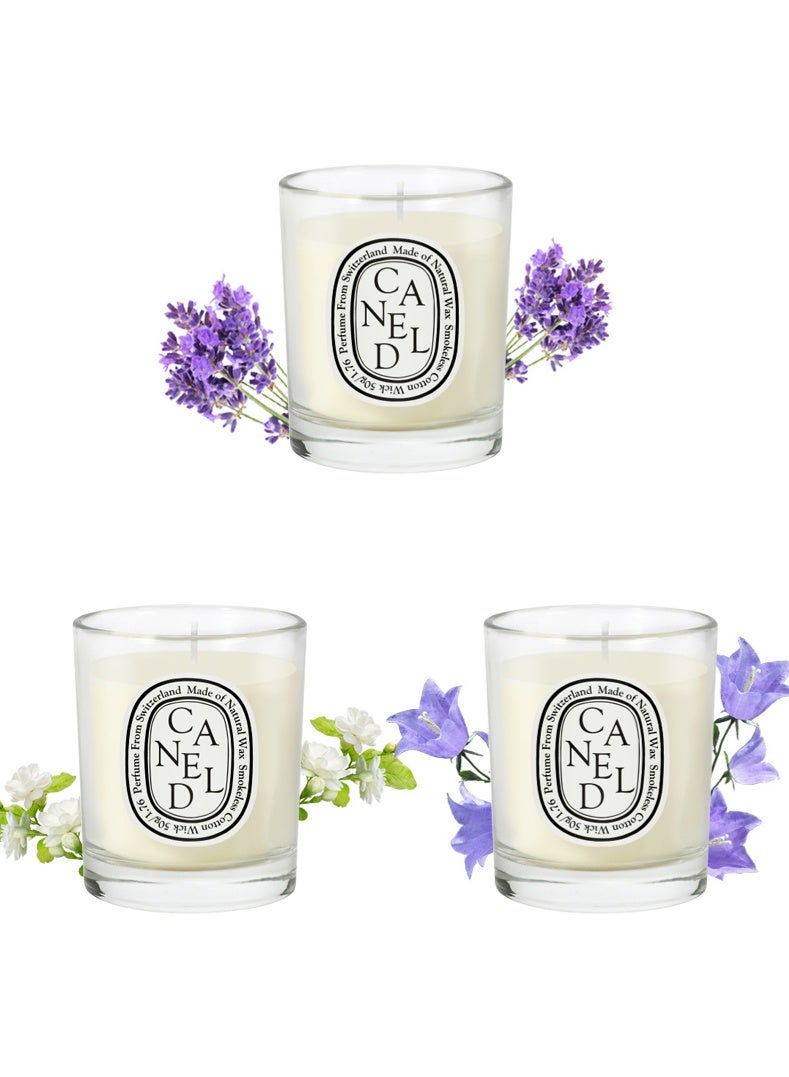 Canel 3-pack Scented Candles Gift Set for Women,3 Pack Aromatherapy Candle for Home Scented,Natual Soy Candles Gifts for Anniversary, Birthday, Mother's Day, Bath,Spa, Meditation - Image 1