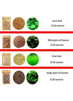 Generic 4 Pack Aquarium Plant S.e.e.d Set, Aquarium Carpet, for Fresh Water Fish Tank,Easy To Plant,High survival rate（10G/Pack/‌≥1000PCS ）  - Image 2