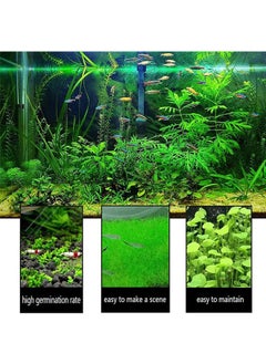 Generic 4 Pack Aquarium Plant S.e.e.d Set, Aquarium Carpet, for Fresh Water Fish Tank,Easy To Plant,High survival rate（10G/Pack/‌≥1000PCS ）  - Image 3