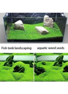 Generic 4 Pack Aquarium Plant S.e.e.d Set, Aquarium Carpet, for Fresh Water Fish Tank,Easy To Plant,High survival rate（10G/Pack/‌≥1000PCS ）  - Image 4