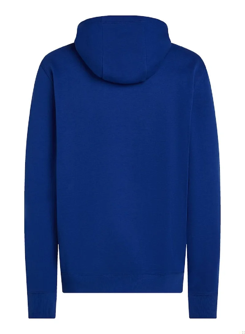 TOMMY HILFIGER Graphic Hoody