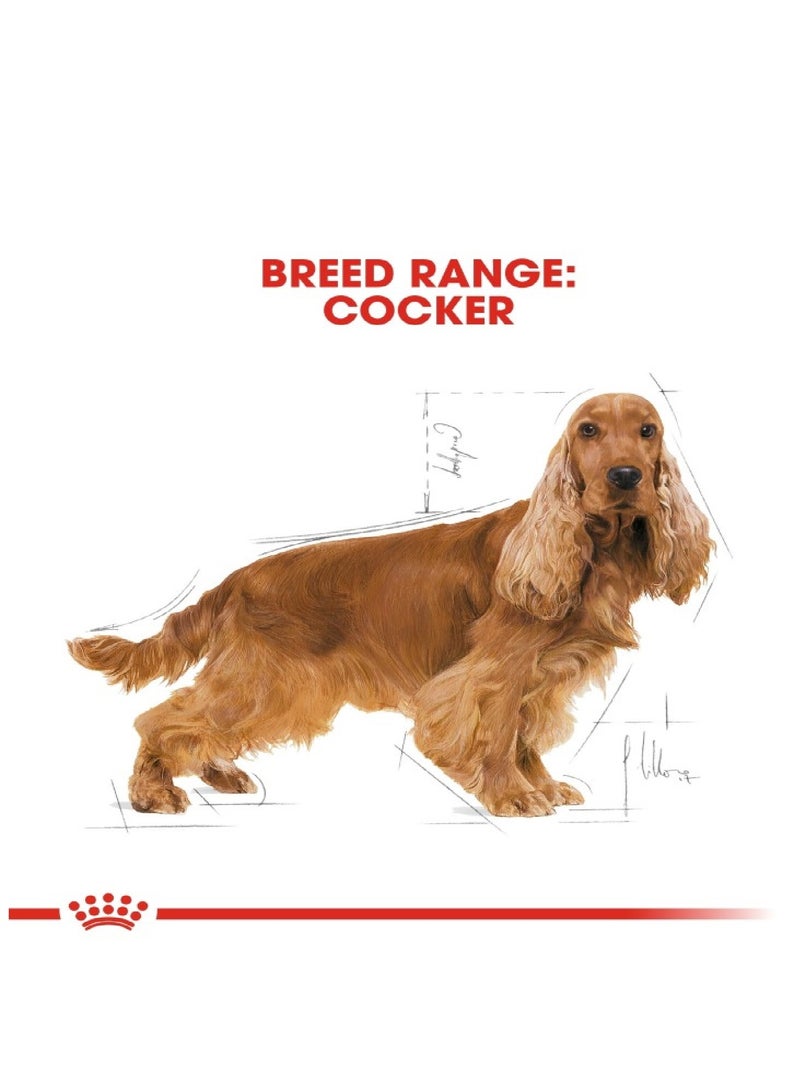 رويال كانين صحة وتغذية سلالة كوكير للبالغين 3 كجم - Image 3