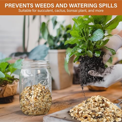 NUPICK 3-5mm Coarse Sand for Plants, 6lb Horticultural Grit for Succulents, Desert Silica Sand for Cactus, Decorative Gravel for Landscaping, Gold Grit for Aquariums, Bonsai, Vases Fillers - Image 4