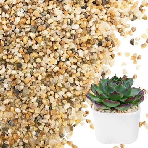 NUPICK 3-5mm Coarse Sand for Plants, 6lb Horticultural Grit for Succulents, Desert Silica Sand for Cactus, Decorative Gravel for Landscaping, Gold Grit for Aquariums, Bonsai, Vases Fillers - Image 1