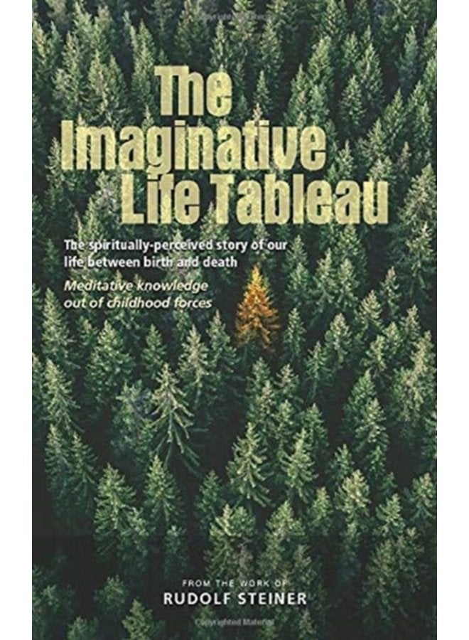 The Imaginative Life Tableau The spiritually perceived story of our life between birth and death Meditative knowledge out of childhood forces - Paperback