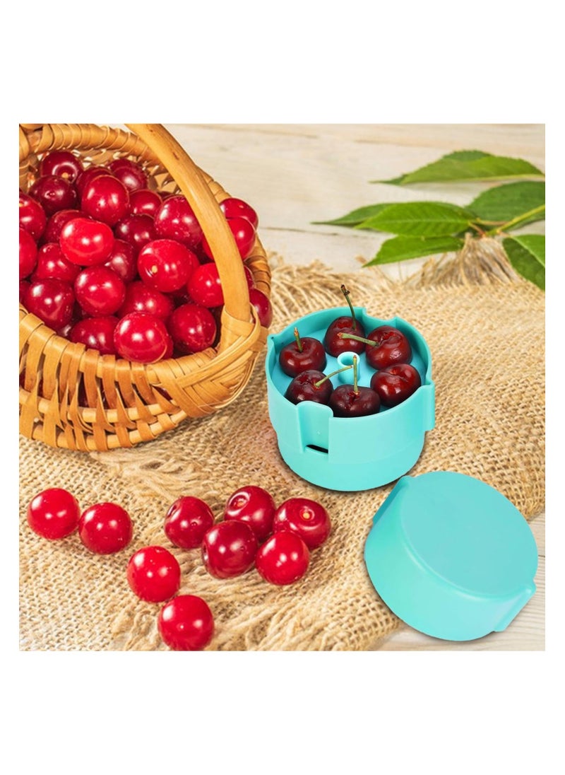 SYOSI - Cherry Core Remover Tool, Cherry Pit Picking Remover, Multi Portable Cherry Pitter Corer Tool, Press Type Cherry Pitter For Removing 6 Cherry Pits At Once, Save Time & Space - Image 1