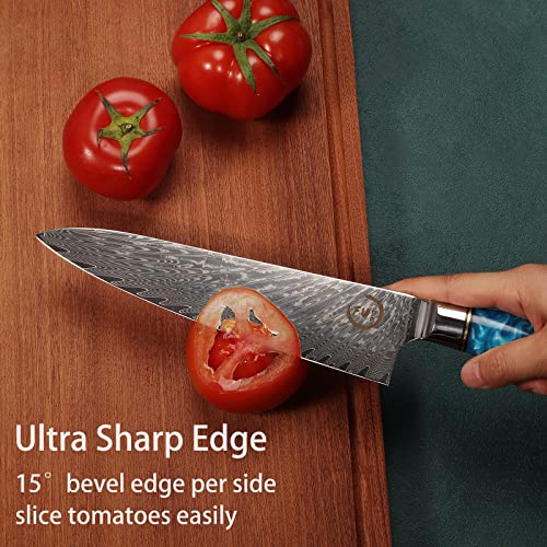 Fukep Chef Knife 8 inch, Damascus Chef Knife Japanese VG10 Core Steel with 66-Layers High Carbon Professional Sharp Chefs Knife 8" Blade Ergonomic Beautiful Blue Resin Handle Gift Boxed - Image 3