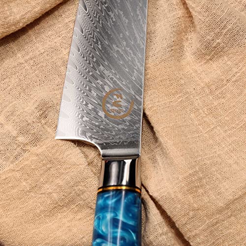 Fukep Chef Knife 8 inch, Damascus Chef Knife Japanese VG10 Core Steel with 66-Layers High Carbon Professional Sharp Chefs Knife 8" Blade Ergonomic Beautiful Blue Resin Handle Gift Boxed - Image 5