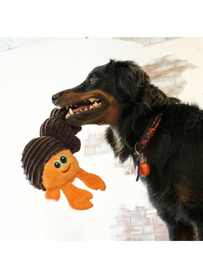 كونج لعبة KONG Cuteseas Rufflez Hermit Crab للكلاب، لعبة قطيفة تصدر صوت صرير فائق، حواف ناعمة الملمس، سهلة الإمساك بها، تقلل من الملل، مثالية للاحتضان، والإحضار، واللعب اللطيف، للمضغ الخفيف، صغيرة/متوسطة الحجم - Image 2