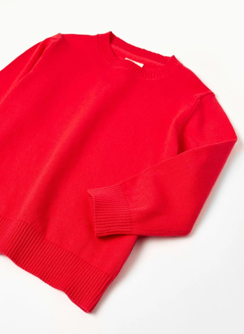 Zippy Zippy Cotton Jumper For Baby Boys