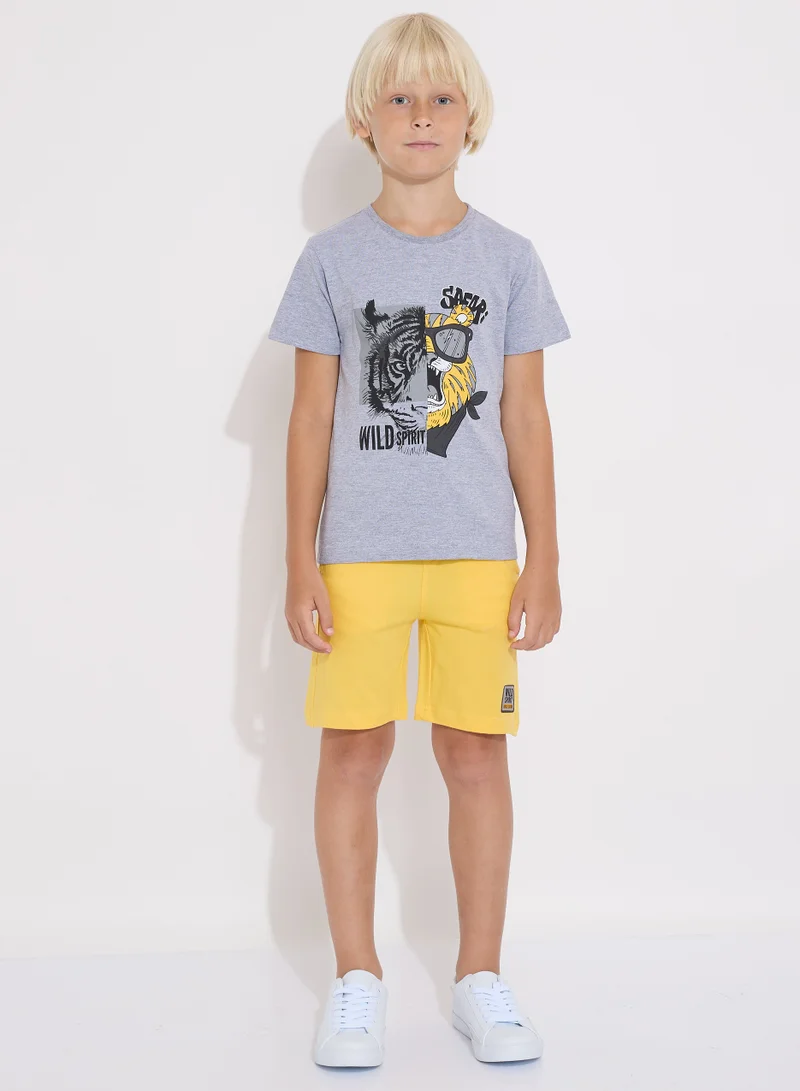 victor and jane Boys' Summer Outfit Set: 2-Piece T-Shirts & Shorts - Grey & Yellow (2-8 Years)
