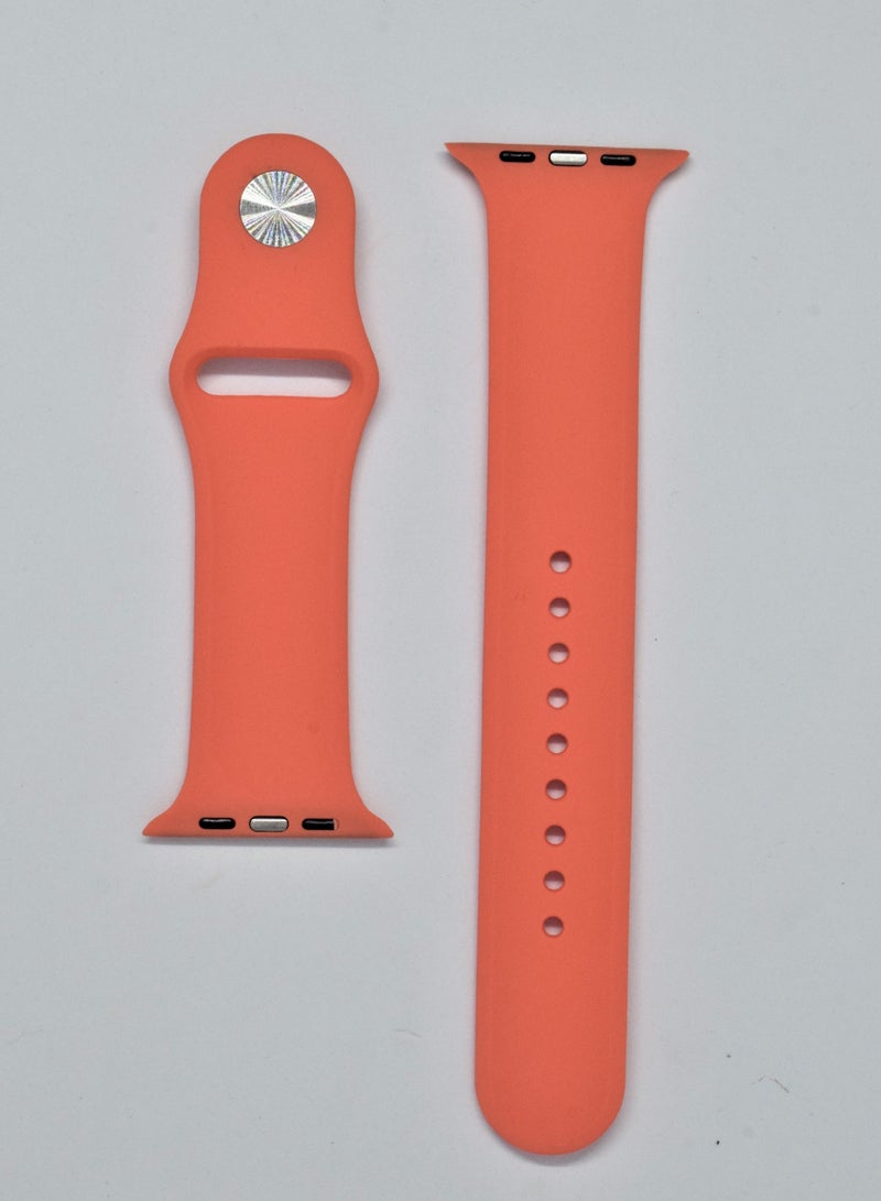 BORTONY Silicone Replacement Watch Band For Apple Series 6/5/4/3 Size 42/44mm - Image 2