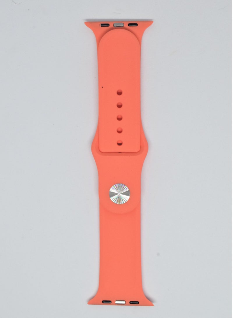 BORTONY Silicone Replacement Watch Band For Apple Series 6/5/4/3 Size 42/44mm - Image 1