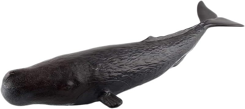 klarako Sea Creature Toys Ocean Sea Animal Whale Figurines for Toddlers Kids Christmas Birthday Gift Plastic Whale Figures Set, 4 Styles  Black, Sperm Whale - Image 4