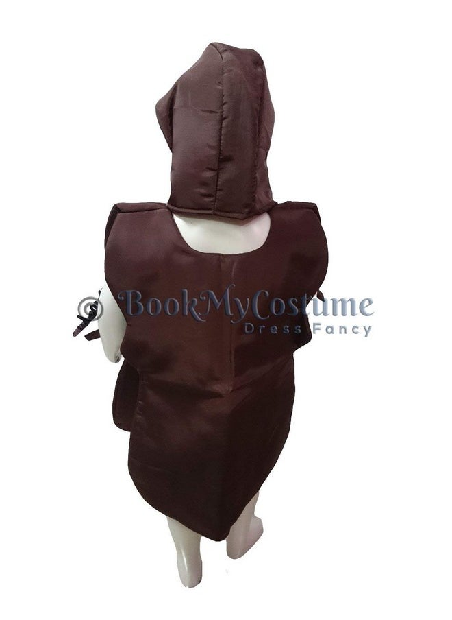 بوك ماي كوستيوم BookMyCostume صرصور منزل حيوان حشرة زي تنكري للأطفال من عمر 4 إلى 5 سنوات  - Image 3