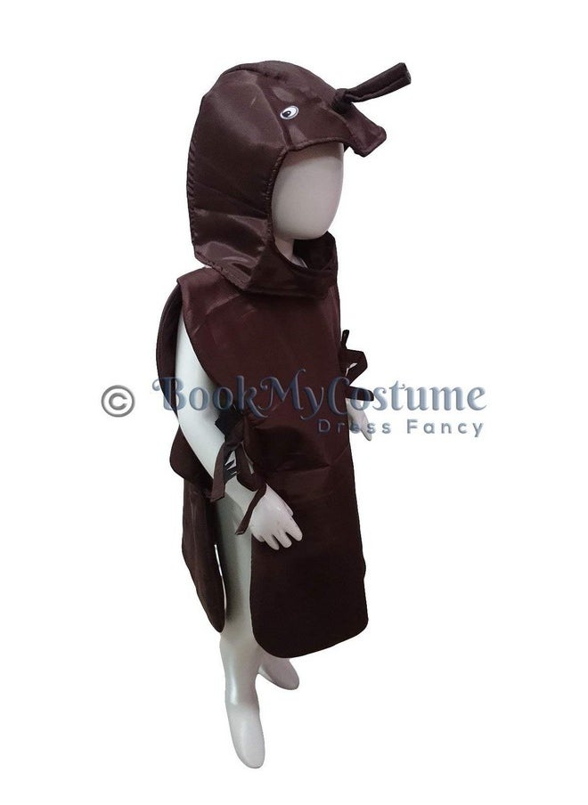 بوك ماي كوستيوم BookMyCostume صرصور منزل حيوان حشرة زي تنكري للأطفال من عمر 4 إلى 5 سنوات  - Image 4