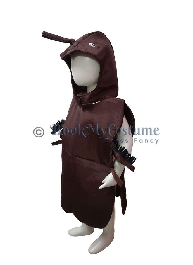 بوك ماي كوستيوم BookMyCostume صرصور منزل حيوان حشرة زي تنكري للأطفال من عمر 4 إلى 5 سنوات  - Image 2
