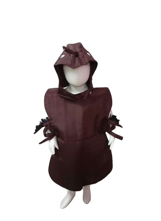 بوك ماي كوستيوم BookMyCostume صرصور منزل حيوان حشرة زي تنكري للأطفال من عمر 4 إلى 5 سنوات  - Image 1