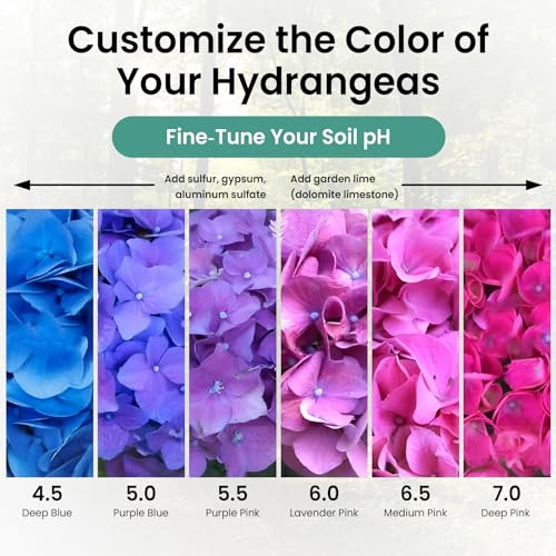 Leaping Lynx Soil pH Test Kit (3-9 Range) – 100 Test Strips for Garden, Lawn, Vegetable & Flower Beds | Quick & Easy Soil pH Monitoring for Indoor & Outdoor Plants | Leaping Lynx - Image 4