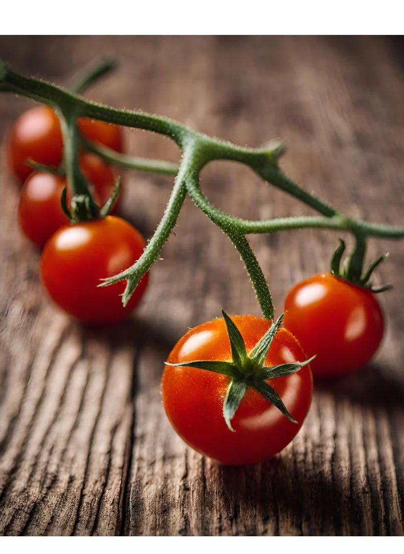 Tomato Cherry - Al Fajr  seeds - pzsku/ZB59A77C11875ED254548Z/45/_/1728898941/e03bb0a3-445f-4fa3-8001-d0bea1612a40