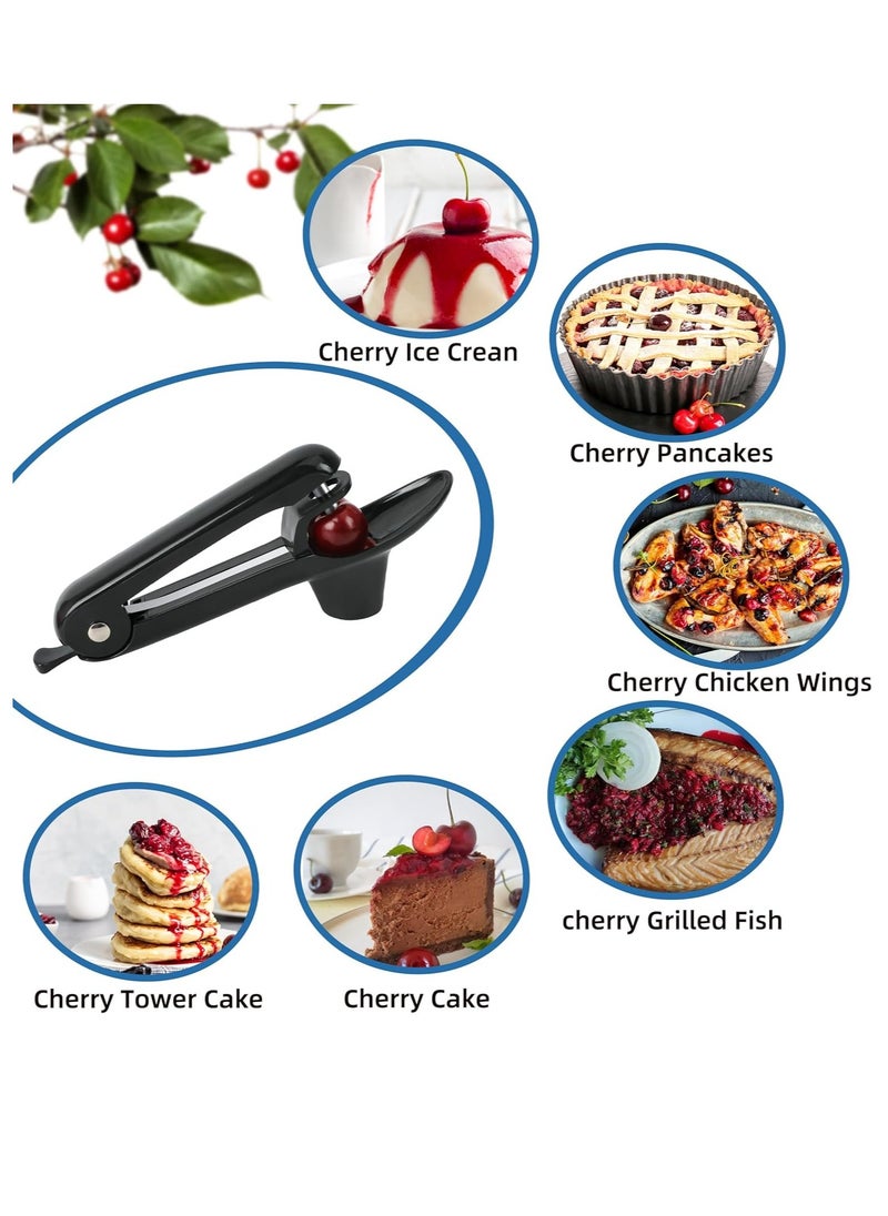 GUDOO - Cherry Pitter Tool Pit Remover Heavy-Duty Stainless Steel Olive Pitter Tool for Making Cherry Jam Black - Image 1