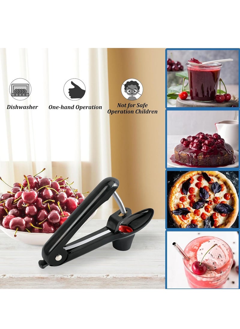 GUDOO - Cherry Pitter Tool Pit Remover Heavy-Duty Stainless Steel Olive Pitter Tool for Making Cherry Jam Black - Image 1