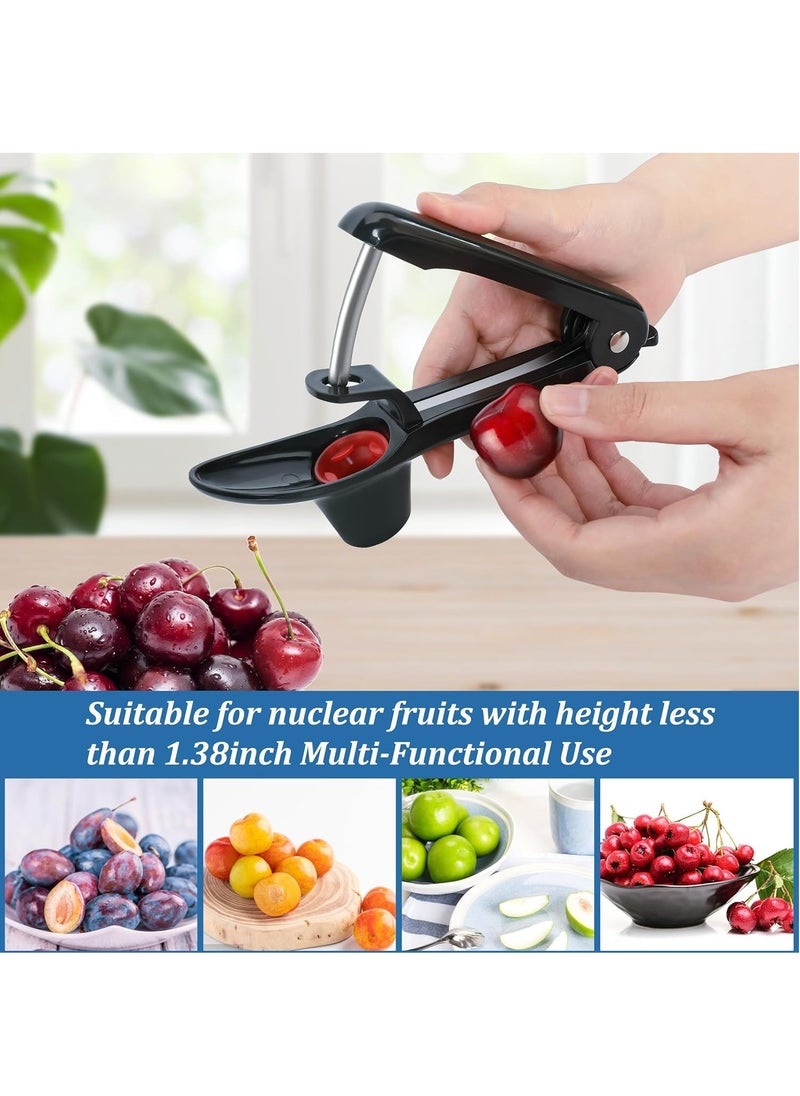 GUDOO - Cherry Pitter Tool Pit Remover Heavy-Duty Stainless Steel Olive Pitter Tool for Making Cherry Jam Black - Image 1