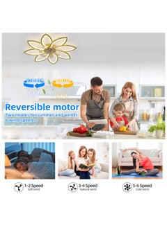 Ganeed Ganeed Gold Ceiling Fans with Light Modern Ceiling Fan Light Flush Mount LED Ceiling Fan Lighting Fixture for Kitchen Living Room  - Image 3