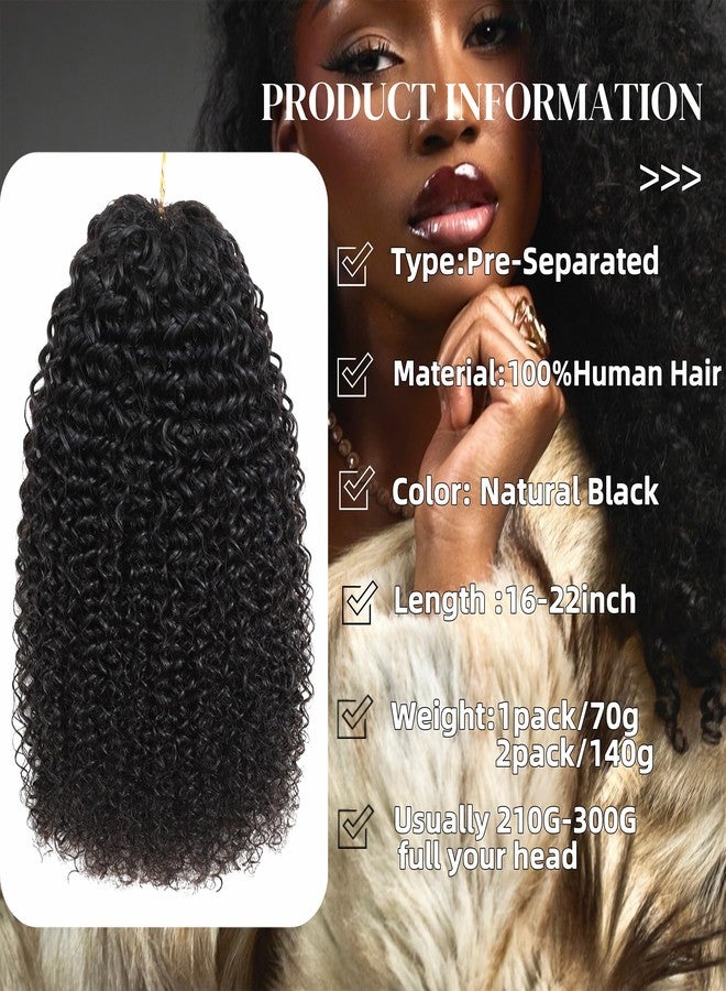 HLSK Kinky Curly Crochet Human Hair Knotless Pre-Separated Feather Human Crochet Hair Lightweight Reusable Remy Hair Extensions for Women Natural Black Color (Natural Black, 16 Inch(70g)) - Image 2