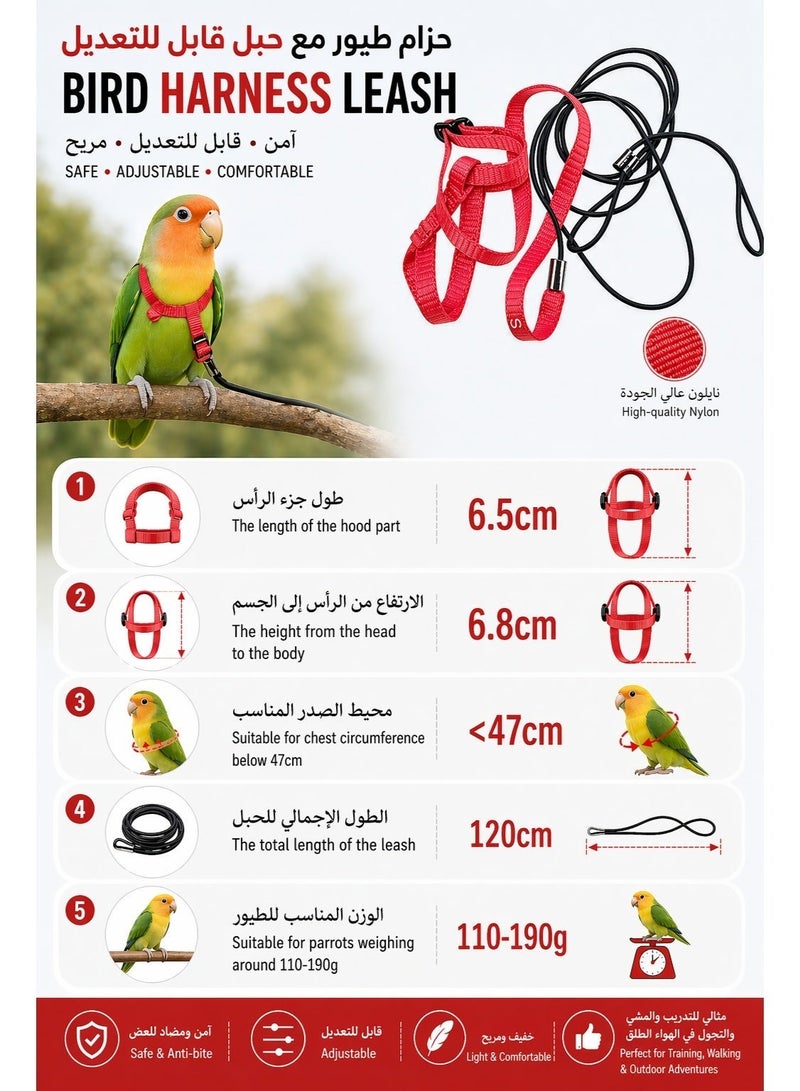 Sisily Bird Harness Leash Adjustable Parrot Harness Bird Training Leash Anti Bite Outdoor Flying Rope Small Bird Harness for Conure Budgie Lovebird Cockatiel Mynah Red S - Image 4