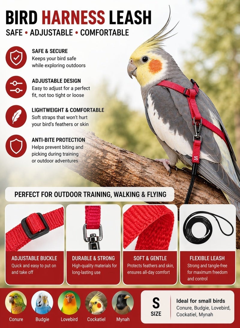 Sisily Bird Harness Leash Adjustable Parrot Harness Bird Training Leash Anti Bite Outdoor Flying Rope Small Bird Harness for Conure Budgie Lovebird Cockatiel Mynah Red S - Image 2