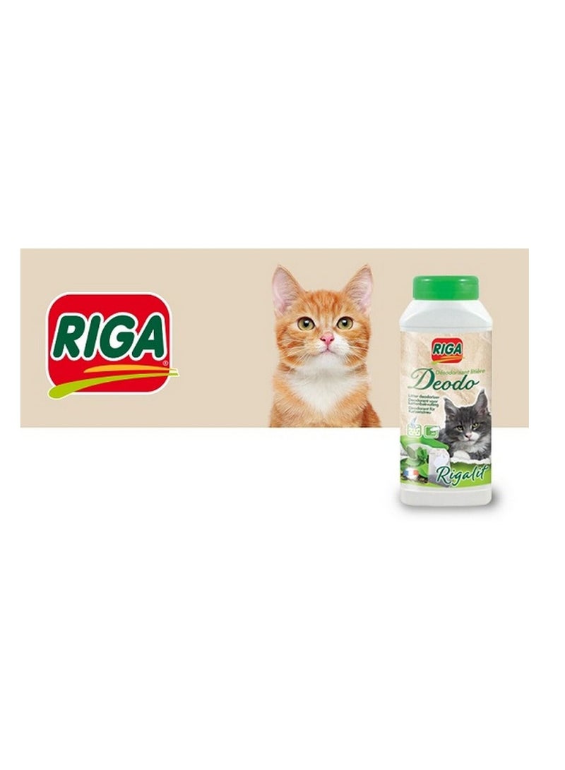 ريجا ديودو شاي أخضر 750 جرام - Image 2