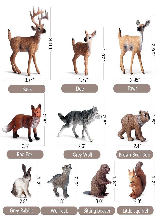 SCAHOW 10pcs Forest Animal Toys Figures, Realistic Woodland Creatures Figurines, Plastic Animals Miniature Toys Cake Topper - Image 2
